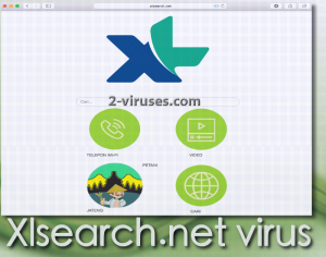 Xlsearch.net virus