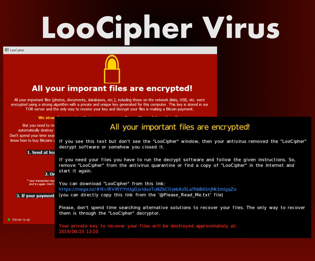 Loocipher Virus – How To Remove – Dedicated 2-viruses.com